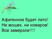 image714-Р.webp
