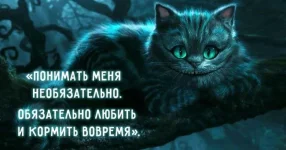 preview-650x341-98-1457959353.webp