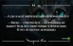 Без названия.webp
