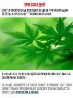 EtKl26EkMq4.webp