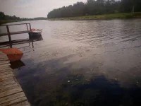 IMG-20170715-WA0002.webp