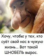 ZQCv-k3oQIo-К.webp