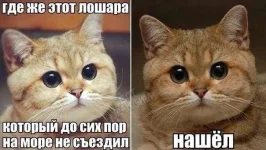 10147956.webp