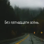 FB_IMG_1502865774270.webp