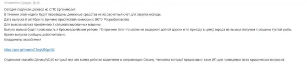Снимок.webp