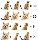 1504503789384-D.webp
