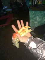 IMG-20170917-WA0020.webp