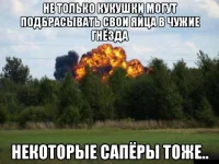 10329803.webp