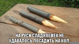 10329842.webp