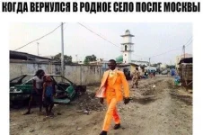 10427830.webp