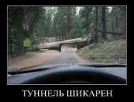 4.webp