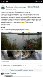 бобры и рыбалка.webp