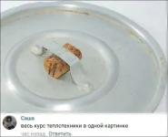 kommentarii-21102017-017-Д.webp
