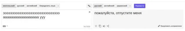 10484839.webp
