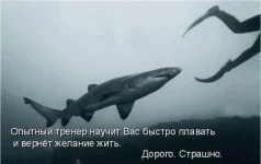 dRC7XJjh8TQ.webp