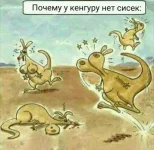 1496042713309_1.webp