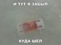 FiWJ_k0Z4oI.webp