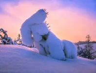 hQ_yDYDxbsk-К.webp