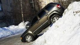 11011794.webp
