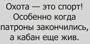 FB_IMG_1518762326084.webp