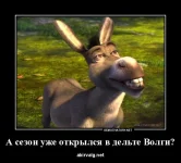 4feba8f65a5083ee2dee_4.webp