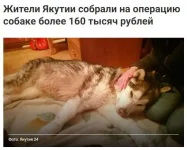 11068561.webp