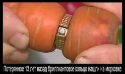 image (6)-D.webp