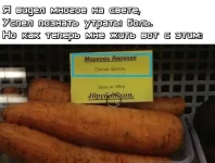 11319009.webp