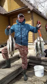 image.webp