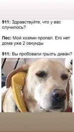 FB_IMG_1527704825597.webp