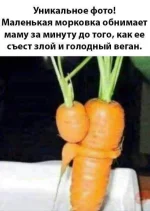 FB_IMG_1531928267462.webp