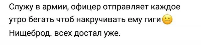 11796458.webp