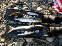2018-08-14-PHOTO-00000944.webp