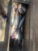 IMG_1191.webp