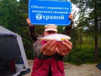 IMG-20180826-WA0012.webp