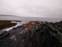 IMG-20180827-WA0005.webp