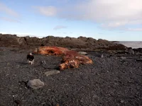IMG-20180828-WA0012.webp