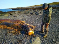 IMG-20180830-WA0016.webp