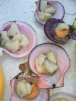 IMG-20180902-WA0083.webp