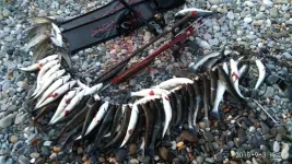 IMG-20180903-WA0015.webp