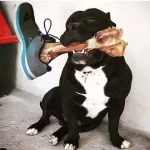 iOZhVLgcsNI.webp