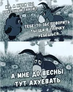 FB_IMG_1539867073270.webp