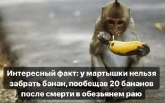 FB_IMG_1541365031302.webp