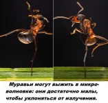 12250301.webp