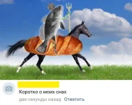 12247273.webp