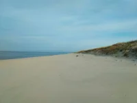 берег.webp