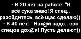 12285447.webp