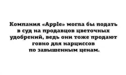 FB_IMG_1543866019736.webp