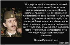 original.webp