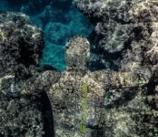 15-47-43-_______________________Salvimar_Garda_KRYPSIS_2.webp